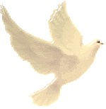 dove